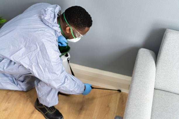 Best Termite Inspection and Treatment  in Woodlands, CA